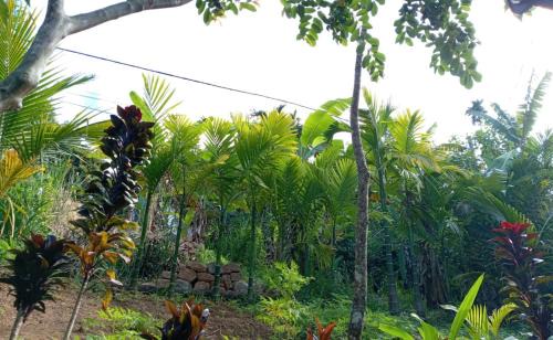 Ella House | Nethanya Homestay