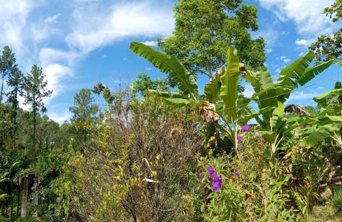 Ella House | Nethanya Homestay