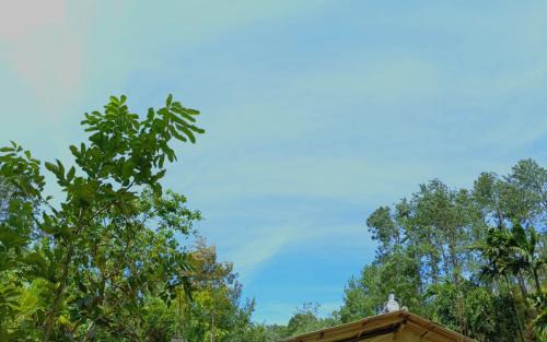 Ella House | Nethanya Homestay