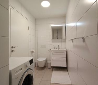 Hard Apartment | Neu erstellte Wohnung mit Balkon in Hard