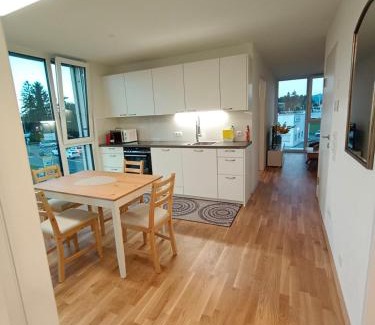 Hard Apartment | Neu erstellte Wohnung mit Balkon in Hard