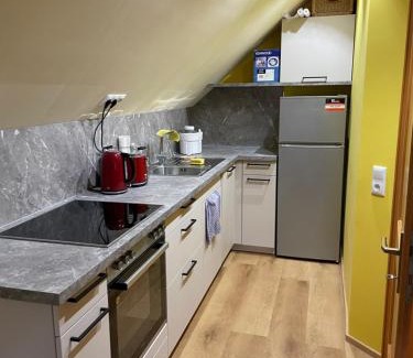 Levis Apartment | Neu renoviertes 2Zi Appartment im DG