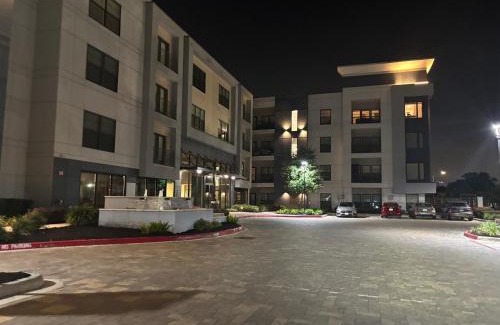 Astrodome Apartment | New! 1 Bed 1 Bath Medical Center NRG Area Middle of Everywhere