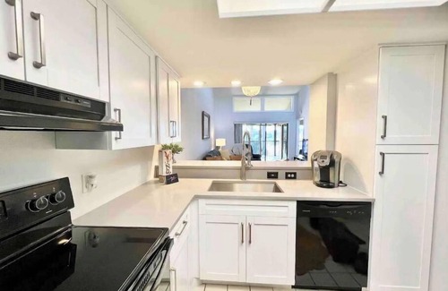 Oldsmar Condo | NEW- 2 bed/2 bath WATERVIEW CENTRAL LOCATION TAMPA