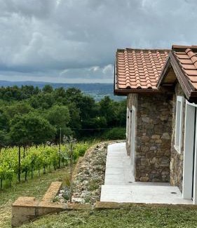 Gradoli House | NEW! Apartment immersed in a vineyard