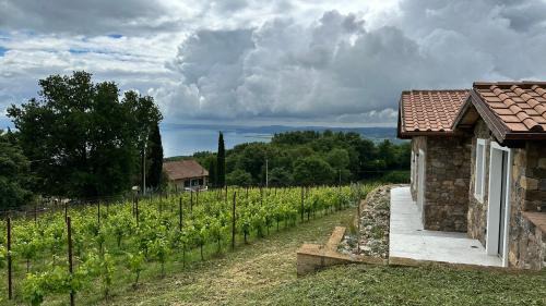 Gradoli House | NEW! Apartment immersed in a vineyard