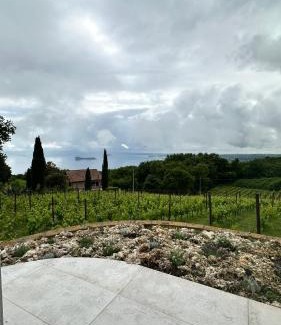 Gradoli House | NEW! Apartment immersed in a vineyard