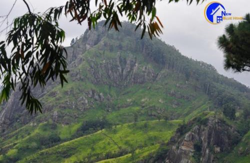 Ambagollapathana House | New Blue Home