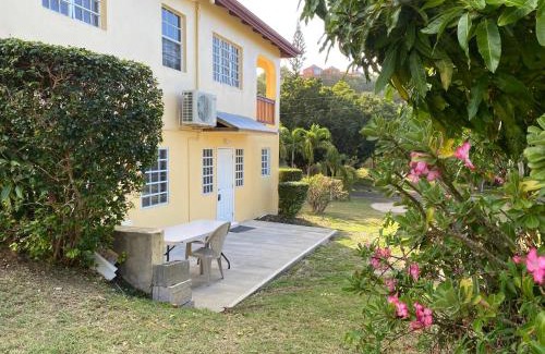 Estate Southgate Apartment | New! Bluestone Getaway in Christiansted USVI !