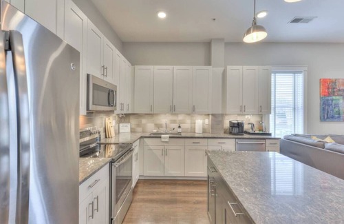 12 South Condo | New construction boutique condo in the heart of the dynamic 12 South neighborhood