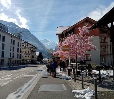 Matten bei Interlaken Apartment | NEW. Matten Central Family Suite, sleeps 4