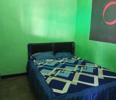 Kalipuro House | NEW OLIVIA Homestay