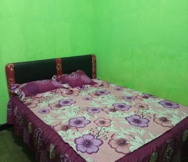 Kalipuro House | NEW OLIVIA Homestay