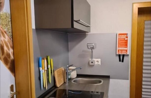 Staudernheim Apartment | NEW! Vacation apartment Eulennest