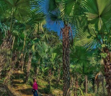 Ngoi Tu Hotel | Ngòi Xanh Ecolodge (Bungalow - Restaurant - Coffee)