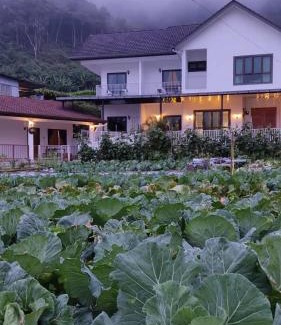 Brinchang House | Ng Family’s Farm Stay