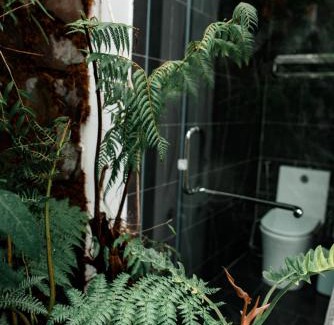 Phan Rang House | ngaunhien's house - Homestay