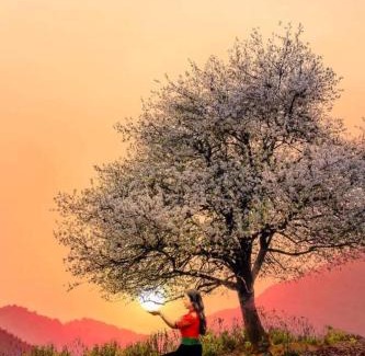 Muong La Hotel | Ngoc Chien Pearl