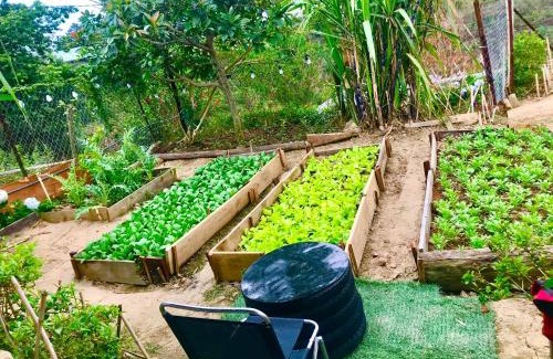 Da Lat House | Nguyen Dai