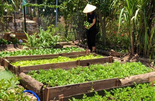 Da Lat House | Nguyen Dai