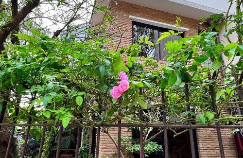 Da Lat Villa | Nhà An Cozy