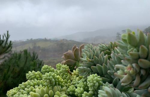 Lac Duong Cabin | Nhà bên rừng