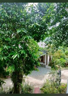 Kim Boi Cabin | Nhà nghỉ Minh Hiếu