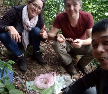 Nam Mau House | Nhà nghỉ Sơn Lâm - Panorama lake view