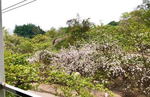 Dien Bien Phu House | Nhà nghỉ Tâm Cường