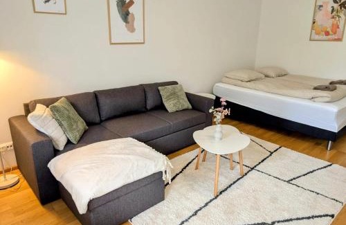 Kemi Apartment | Nice and cozy city apartment, free parking