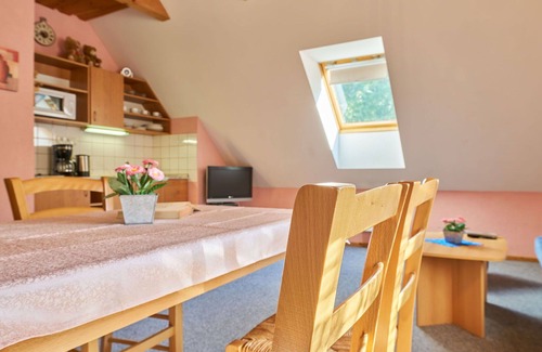 Starkov Villa | Nice apartment in villa for 4 guests with WIFI, pool, TV, patio and pets allowed