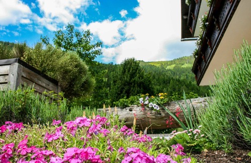 Donnersbachwald Apartment | Nice apartment for 4 people with WIFI, TV, terrace and panoramic view