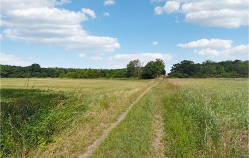 Akirkeby Apartment | Nice Apartment In Aakirkeby With Wifi