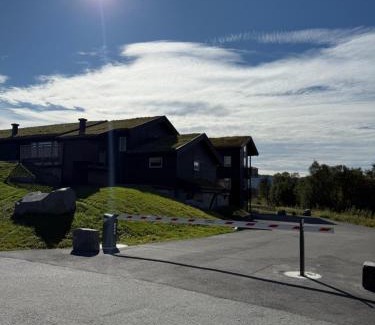 Geilo Apartment | Nice apartment on Geilotunet, Close to city center