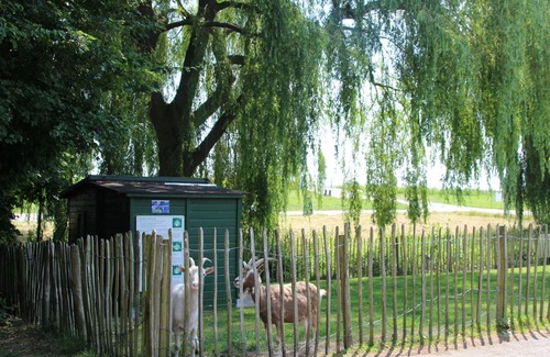 Zevenhuizen House | Nice holiday home with garden