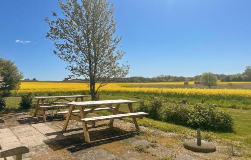 Boderne House | Nice Home In Aakirkeby With Wifi