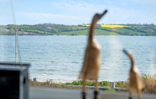 Broager House | Nice Home In Broager With Kitchen