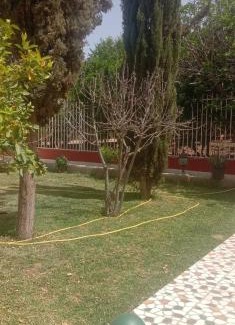 Saada House | nice mini villa with pool