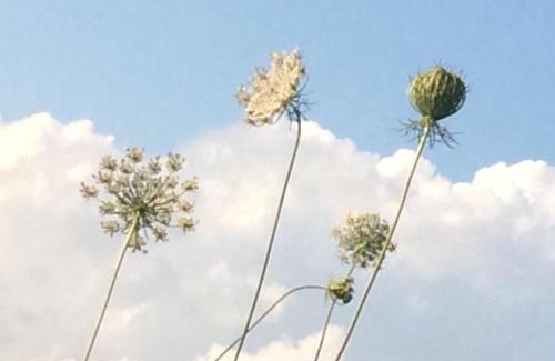 Dernice Apartment | Nido d’amore nei colori