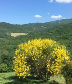 Dernice Apartment | Nido d’amore nei colori