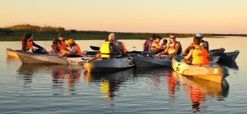 Concepcion Hotel | Nido de Pajaros