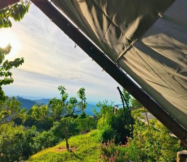 Canove Apartment | Nido Marin