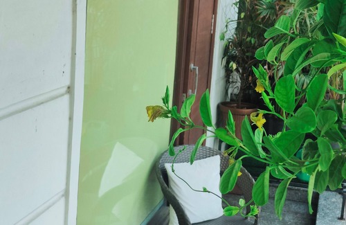 New Delhi Apartment | Nien - A clean and modern apartment in the heart of South Delhi