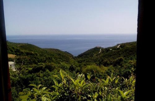 Lambinou House | Nightingale Cottage Pelion