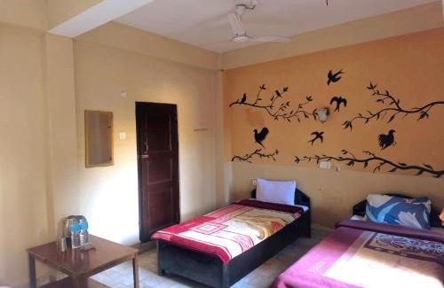 Sauraha Bed & Breakfast | Nikunj Safari Guest House Sauraha- A place where you can book jungle wildlife Safari