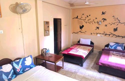 Sauraha Bed & Breakfast | Nikunj Safari Guest House Sauraha- A place where you can book jungle wildlife Safari