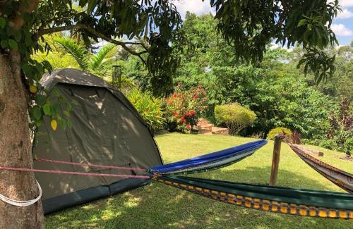 Jinja Other | Nile it Resort