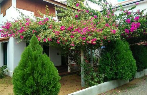 Kalkudah Resort | Nirmaa Shadow Inn