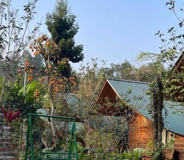 Bac Ha House | Nobita Homestay bắc hà