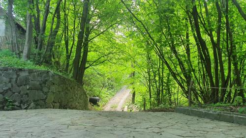 Valea Doftanei House | Noble Chalet Lake & Forest